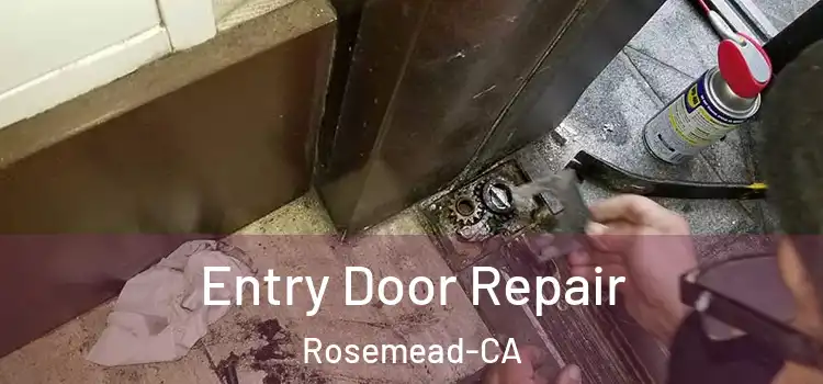  Entry Door Repair Rosemead-CA