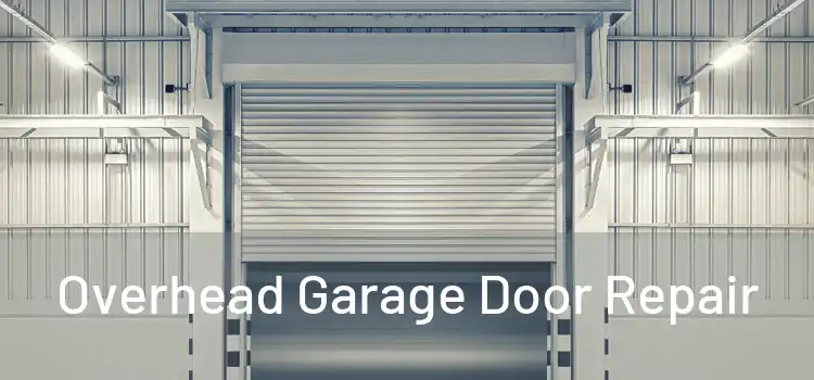  Overhead Garage Door Repair 